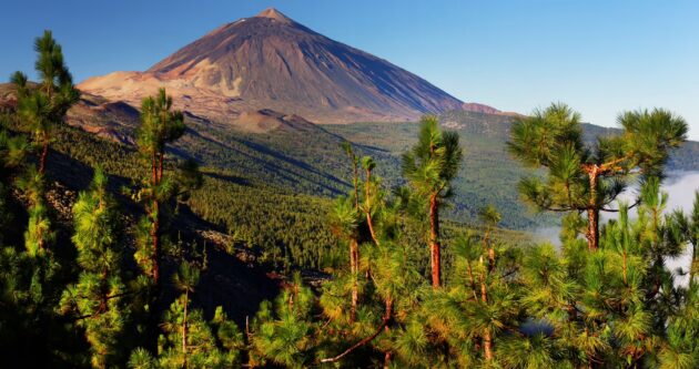 Teide National Park