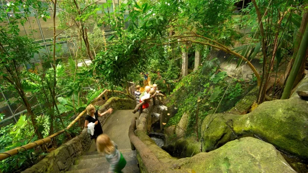 Universeum