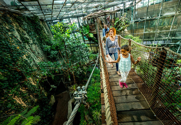 Universeum