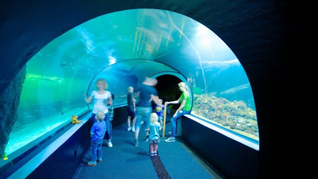 Universeum