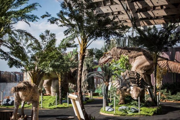 Universeum
