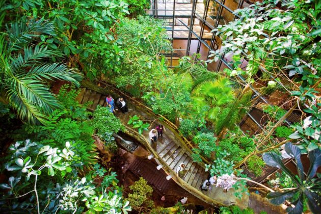 Universeum