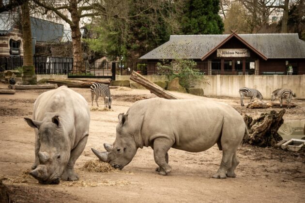 Zoo Antwerpen