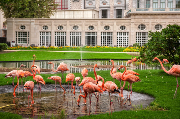Zoo Antwerpen