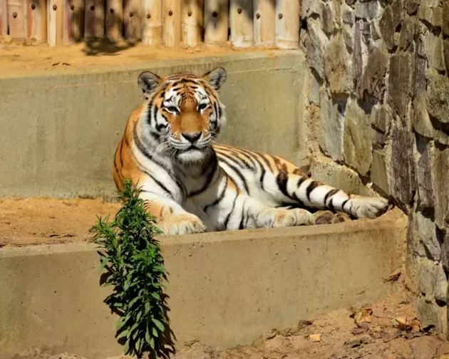 Zoo Antwerpen