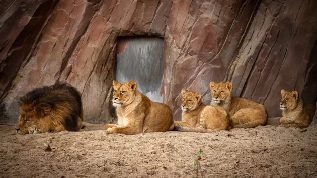 Zoo Antwerpen