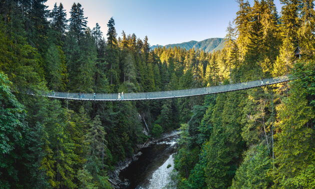 Capilano Suspension Bridge Park