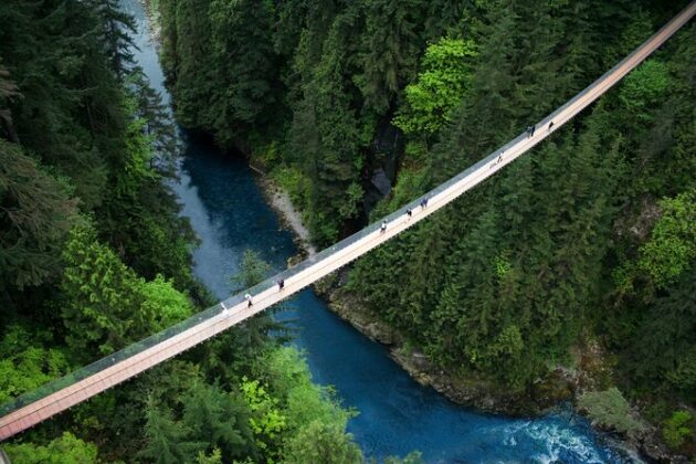 Capilano Suspension Bridge Park