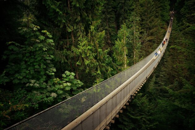 Capilano Suspension Bridge Park