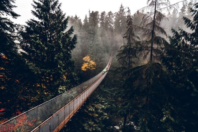 Capilano Suspension Bridge Park