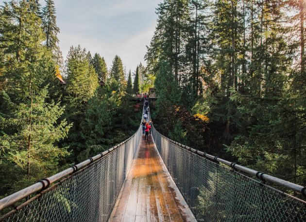 Capilano Suspension Bridge Park
