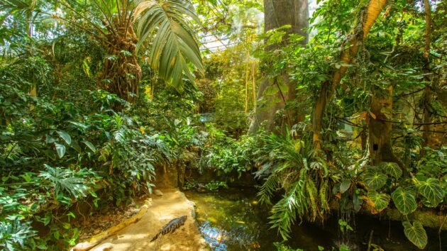 Montreal Biodome