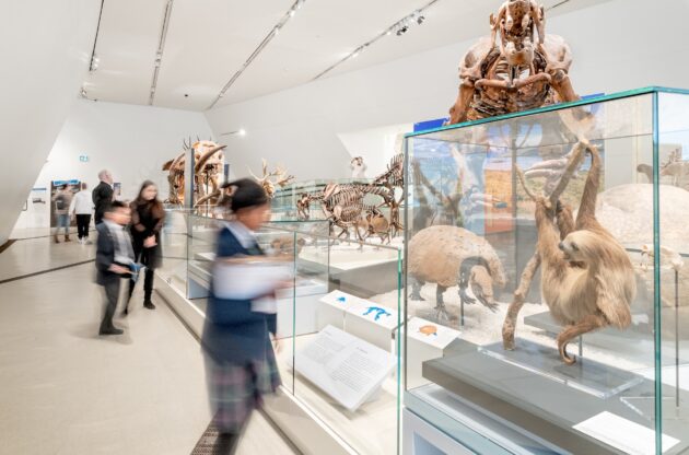 Royal Ontario Museum