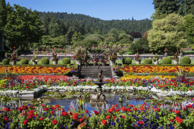 The Butchart Gardens