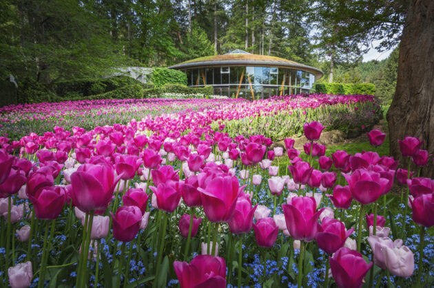 The Butchart Gardens
