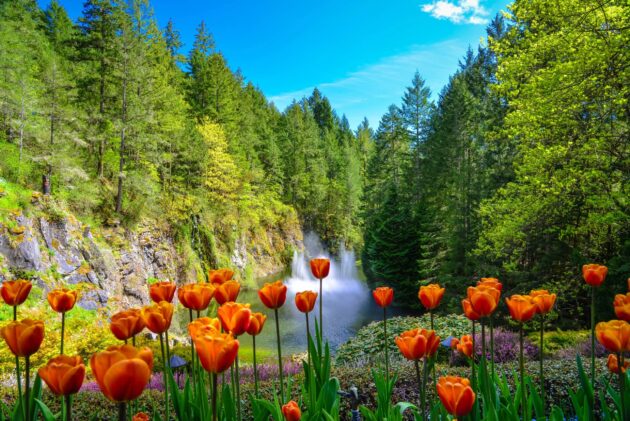 The Butchart Gardens