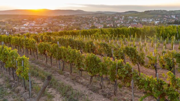 Tokaj