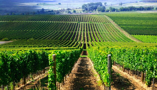 Tokaj
