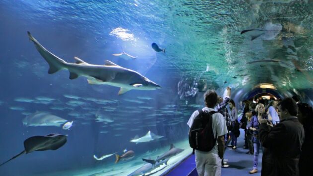 Vancouver Aquarium