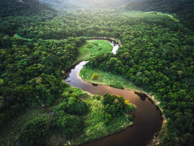 Amazon Rainforest