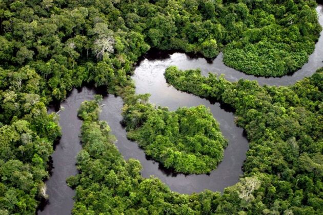 Amazon Rainforest