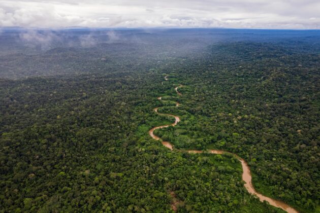 Amazon Rainforest