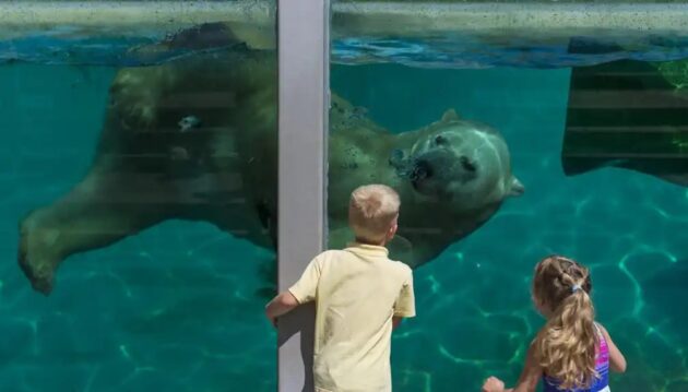 Aquarium of Quebec