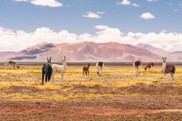 Atacama Desert