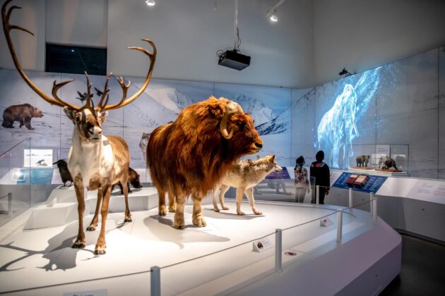 Canadian Museum of Nature