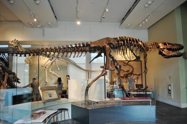 Canadian Museum of Nature