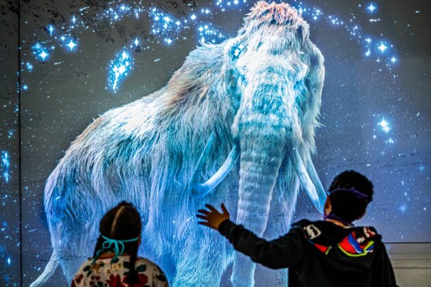 Canadian Museum of Nature