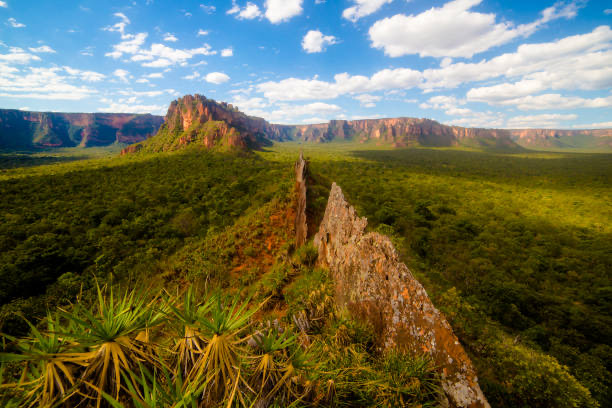 Chapada dos Guimarães National Park