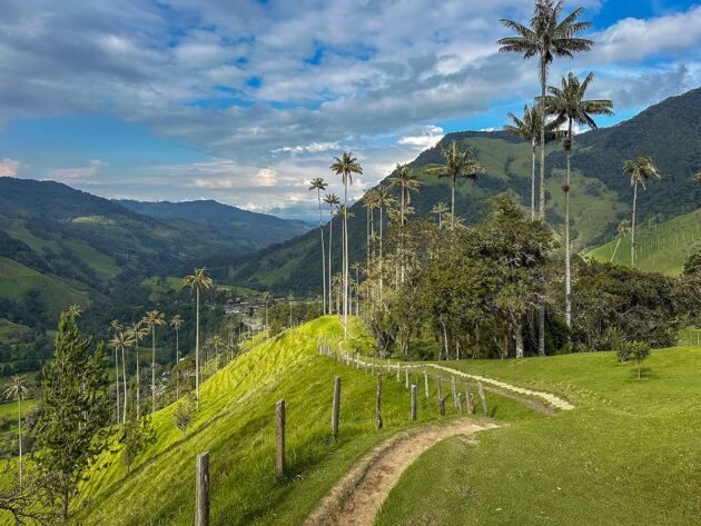 Cocora Valley