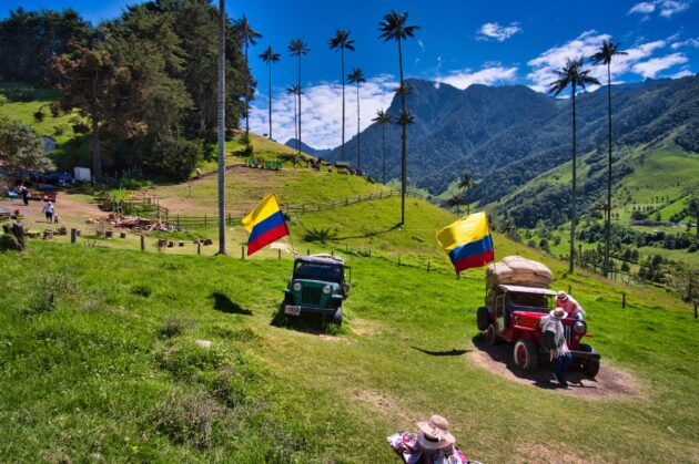 Cocora Valley