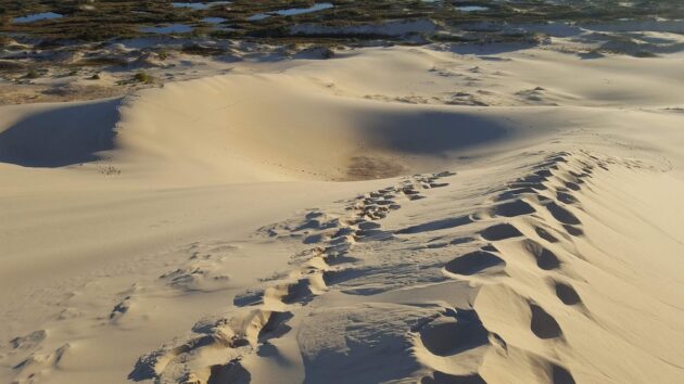 Dunes of Joaquina