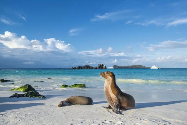 Galápagos Islands