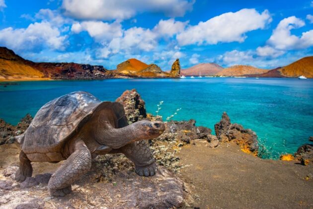 Galápagos Islands