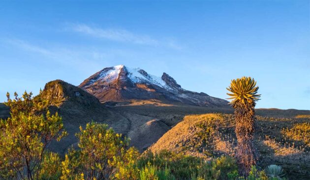 Los Nevados National Park