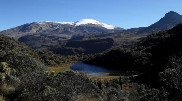 Los Nevados National Park