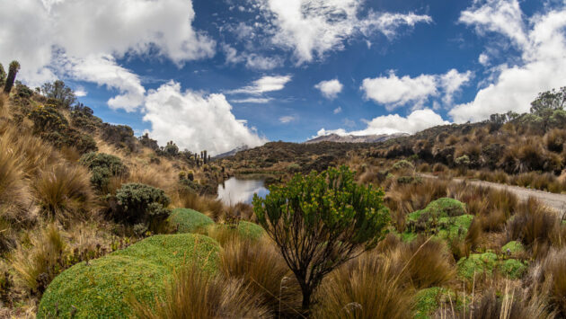 Los Nevados National Park