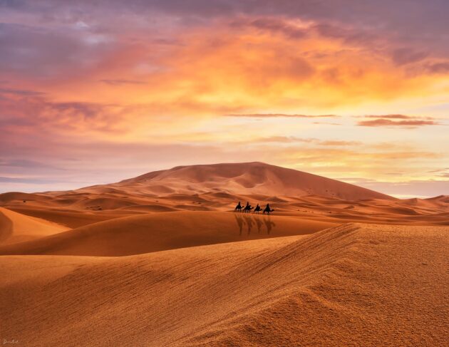 Merzouga