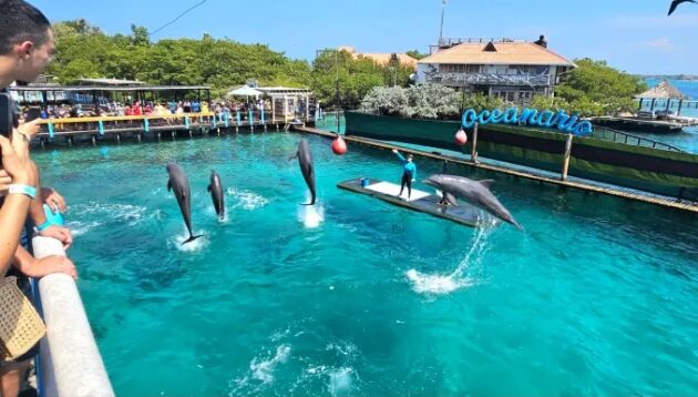Oceanarium Rosario Islands