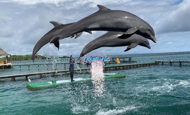 Oceanarium Rosario Islands