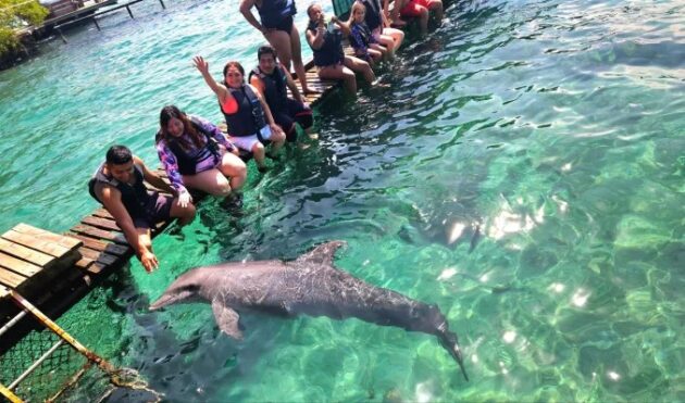 Oceanarium Rosario Islands