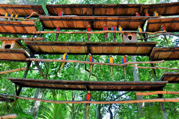 Parque das Aves