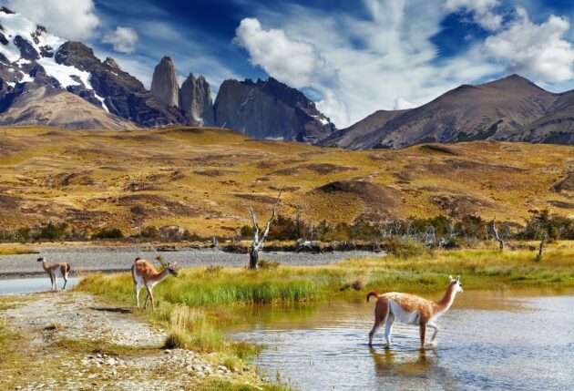 Torres del Paine National Park