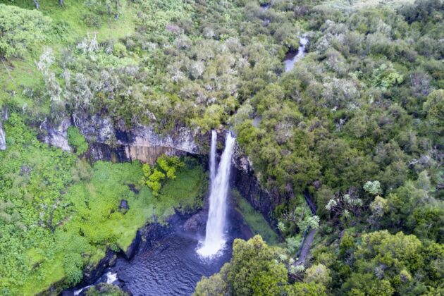 Aberdare National Park