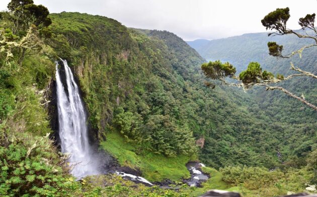 Aberdare National Park