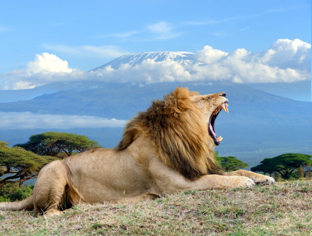 Amboseli National Park
