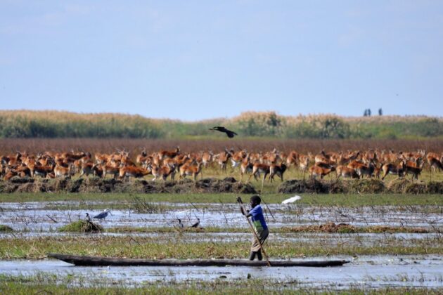 Bangweulu Wetlands